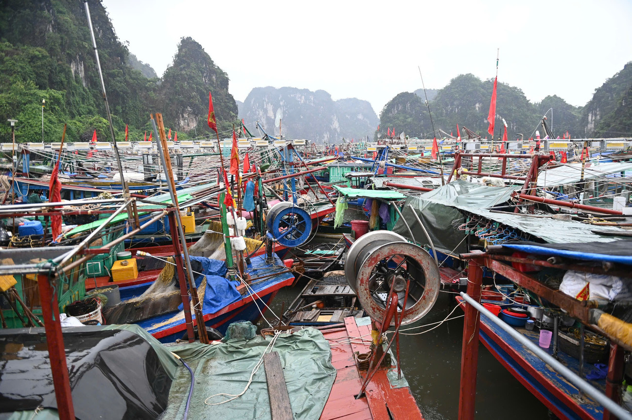 Bão số 3 đe dọa Quảng Ninh: Di dời 10 . 000 Người , đưa 14 . 000 Du khách về bờ an toàn - Ảnh 1.