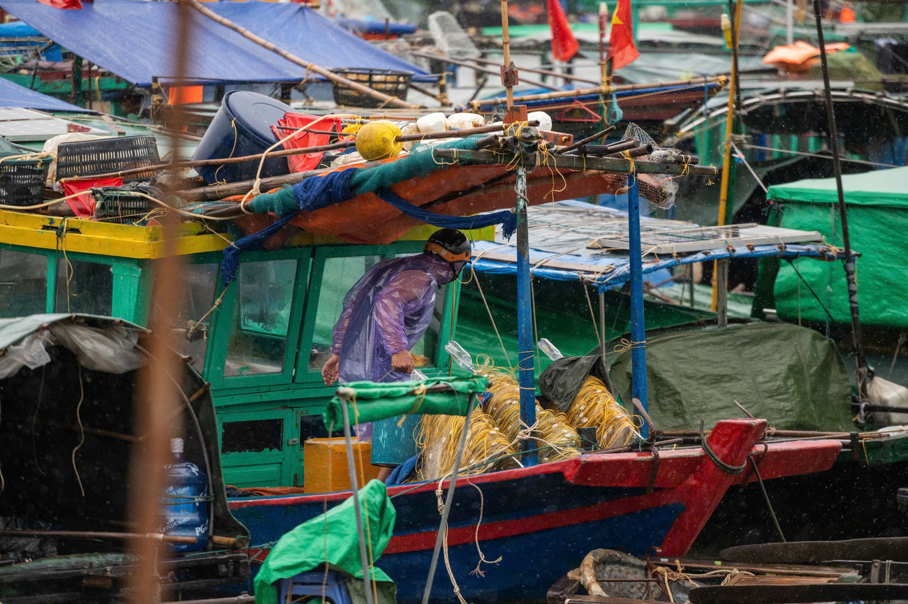 Bão số 3 đe dọa Quảng Ninh: Di dời 10 . 000 Người , đưa 14 . 000 Du khách về bờ an toàn - Ảnh 5.