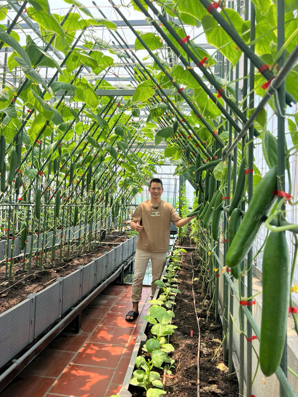 Gửi rau thay lời cảm ơn: &Ocirc;ng bố H&agrave; Nội biến s&acirc;n thượng th&agrave;nh vườn, tặng n&ocirc;ng sản cho người ủng hộ thiện nguyện- Ảnh 1.