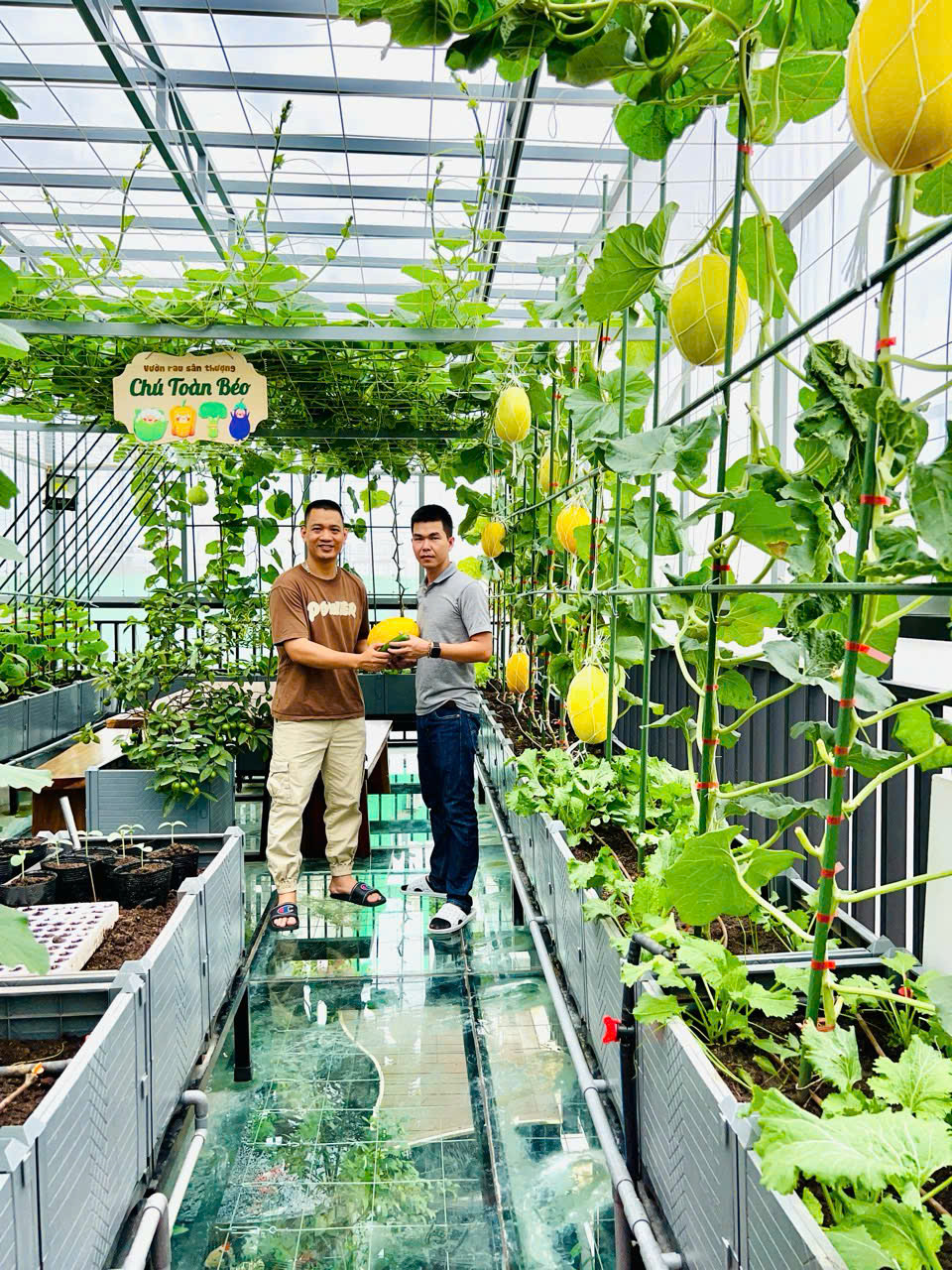 Gửi rau thay lời cảm ơn: &Ocirc;ng bố H&agrave; Nội biến s&acirc;n thượng th&agrave;nh vườn, tặng n&ocirc;ng sản cho người ủng hộ thiện nguyện- Ảnh 16.