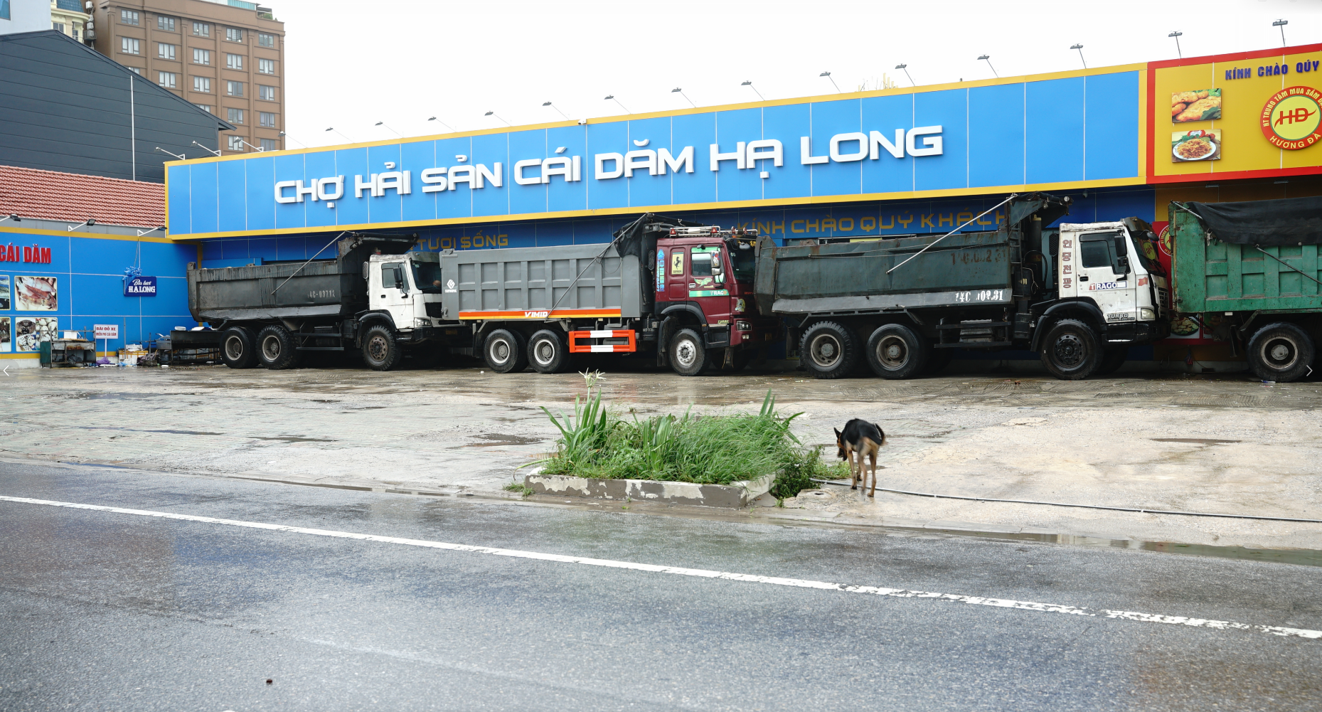 Trực tiếp bão số 3 Wipha: Bão áp sát đất liền nhưng nhiều nơi trời hửng nắng, liệu có bất thường?- Ảnh 32. Trực tiếp bão số 3 Wipha: Bão áp sát đất liền nhưng nhiều nơi trời hửng nắng, liệu có bất thường?- Ảnh 32.