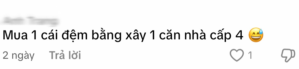Dân mạng cãi nhau vì MC VTV mua đệm ngủ 213 triệu: Người khen chịu chi, người chê hoang phí - khoe của- Ảnh 4. Dân mạng cãi nhau vì MC VTV mua đệm ngủ 213 triệu: Người khen chịu chi, người chê hoang phí - khoe của- Ảnh 4.