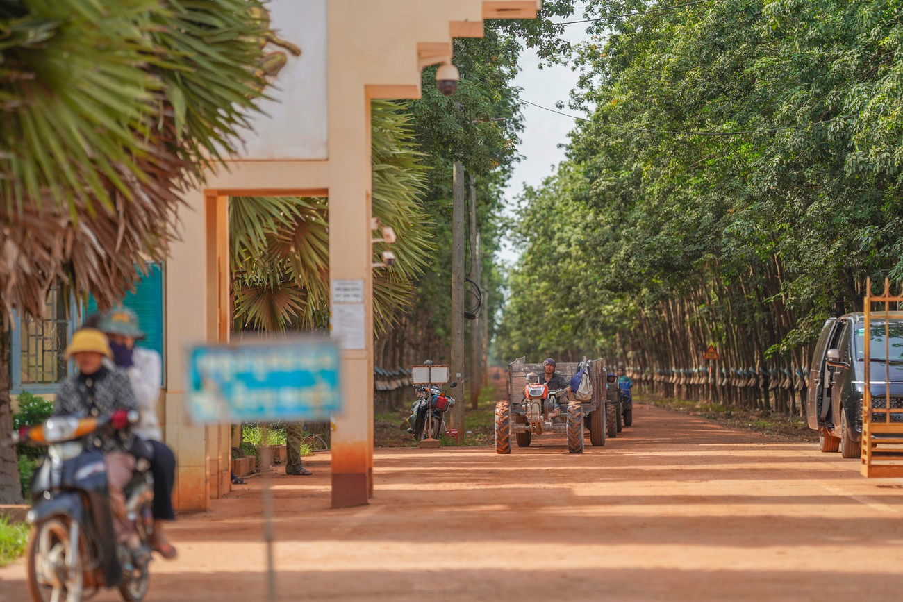 Cao su Chư S&ecirc; - Kampong Thom v&agrave; cuộc chuyển m&igrave;nh mạnh mẽ - Ảnh 1.