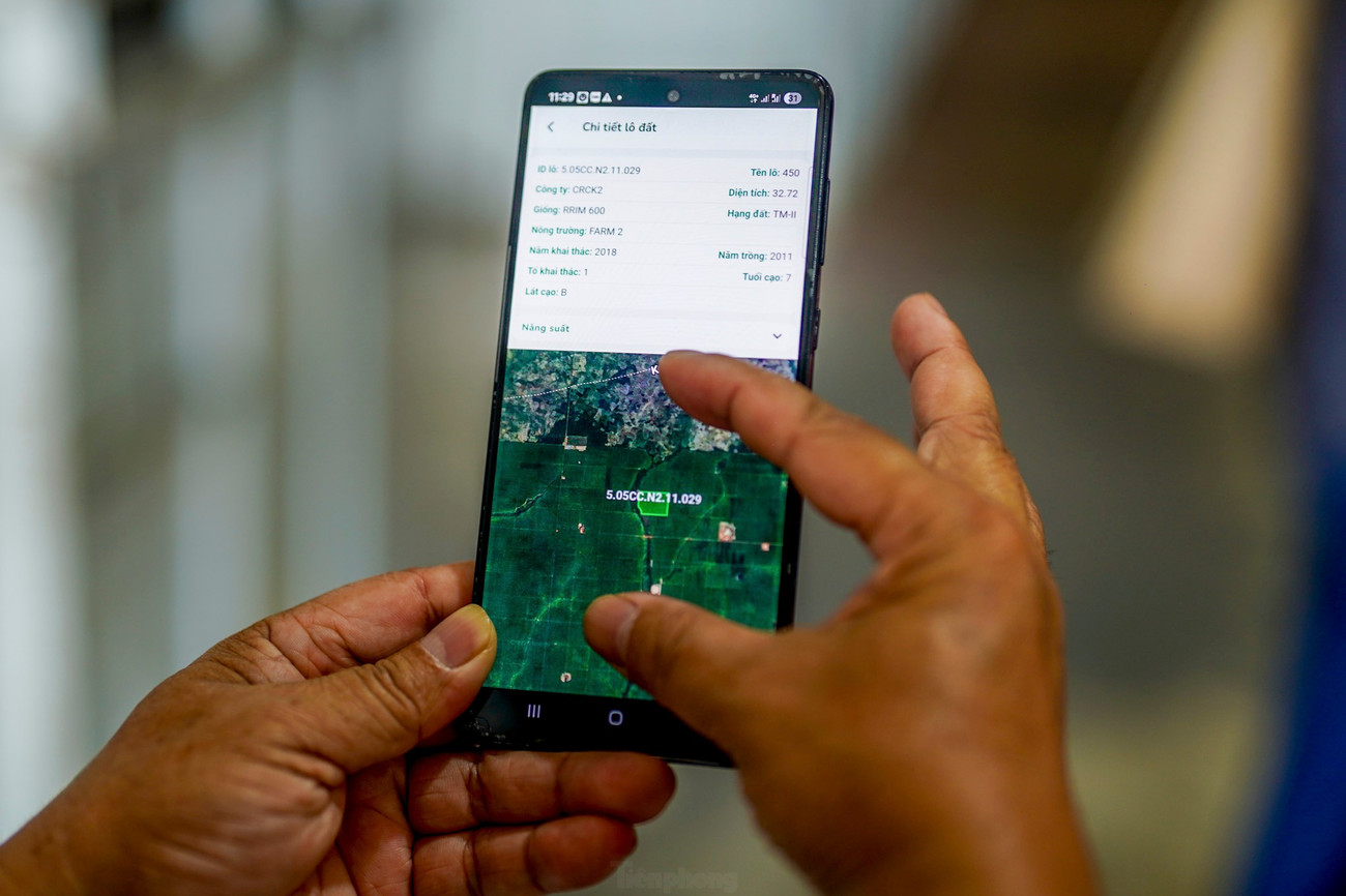 Cao su Chư S&ecirc; - Kampong Thom v&agrave; cuộc chuyển m&igrave;nh mạnh mẽ - Ảnh 5.