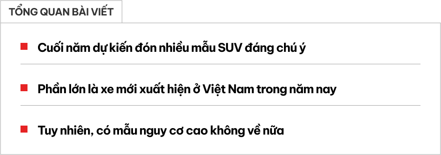 Loạt xe gầm cao chực chờ ra mắt Việt Nam đến cuối năm 2025: Phần lớn là xe mới bán lần đầu, nhiều tùy chọn hybrid - Ảnh 1.
