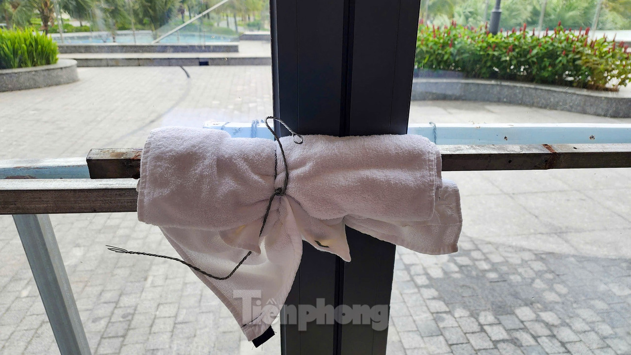 Phớt lờ cảnh báo , người từ Hà Nội đổ về Đồ Sơn check - in đón bão số 3 - Ảnh 8. Phớt lờ cảnh báo , người từ Hà Nội đổ về Đồ Sơn check - in đón bão số 3 - Ảnh 8.