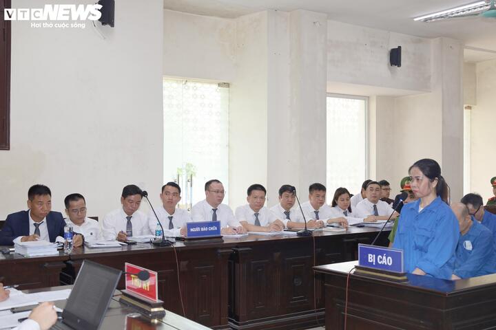 Tổng biên tập Tạp chí Môi trường và Đô thị Việt Nam hầu Tòa về tội Cưỡng đoạt tài sản - Ảnh 2.