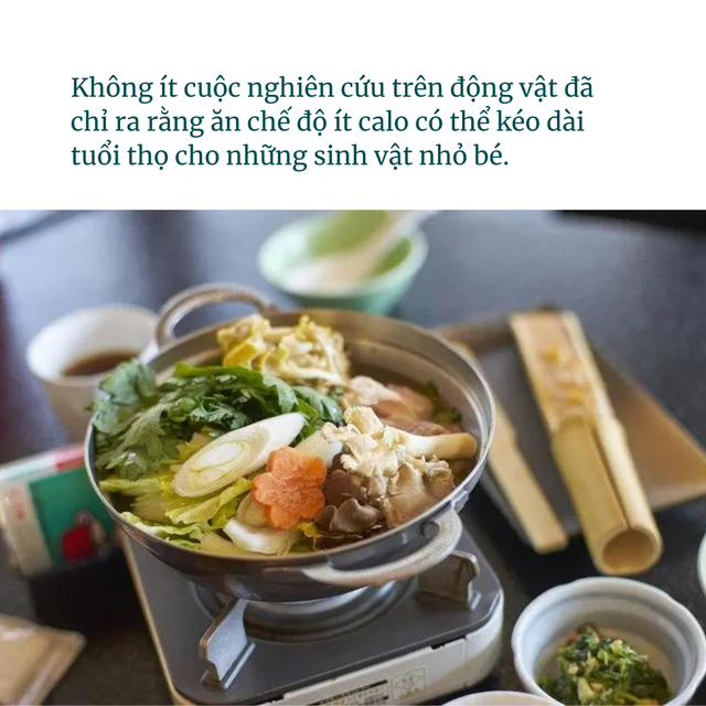 - Ảnh 1.