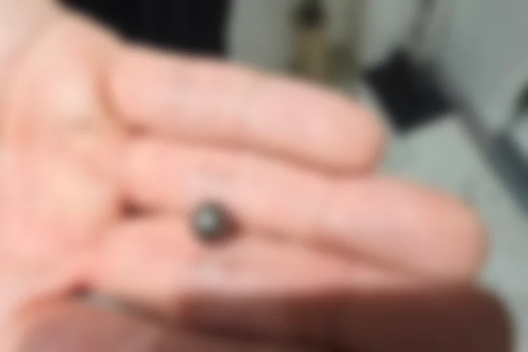 Rúng động Hàn Quốc: Cha bắn chết con trai giữa tiệc sinh nhật - Ảnh 1.