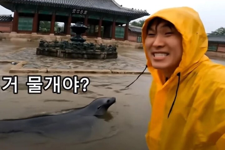 - Ảnh 1.
