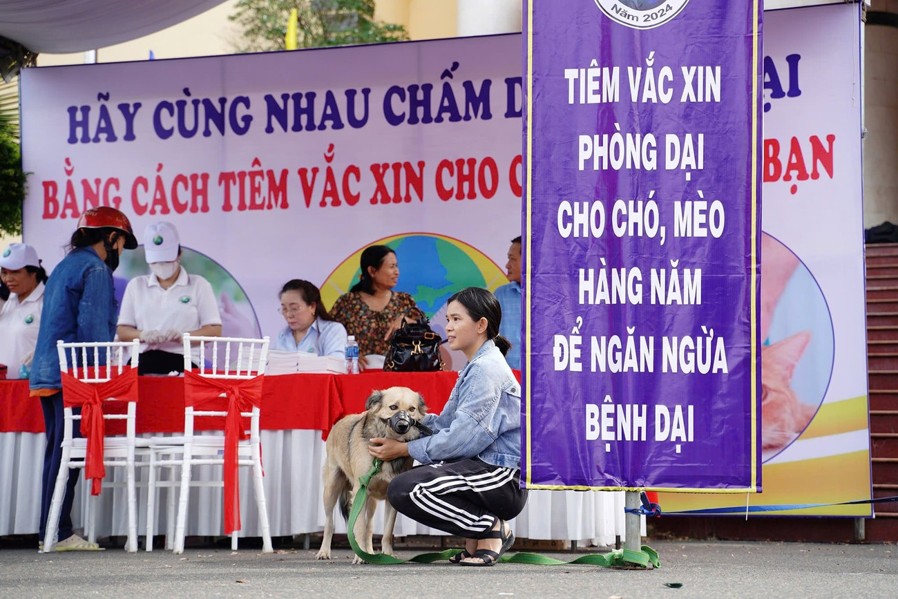 - Ảnh 1.