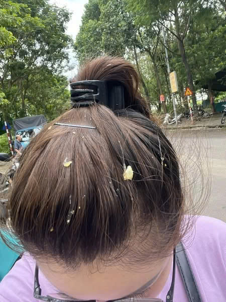 Pha đi chợ nhớ đời ở chung cư: Chưa kịp mua gì đã được "tặng" nguyên bịch thức ăn thừa trên trời rơi xuống - Ảnh 2.