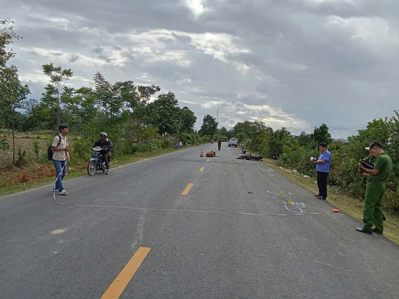Tông vào bò thả rông trên Quốc lộ , ai chịu trách nhiệm pháp lý? - Ảnh 1.