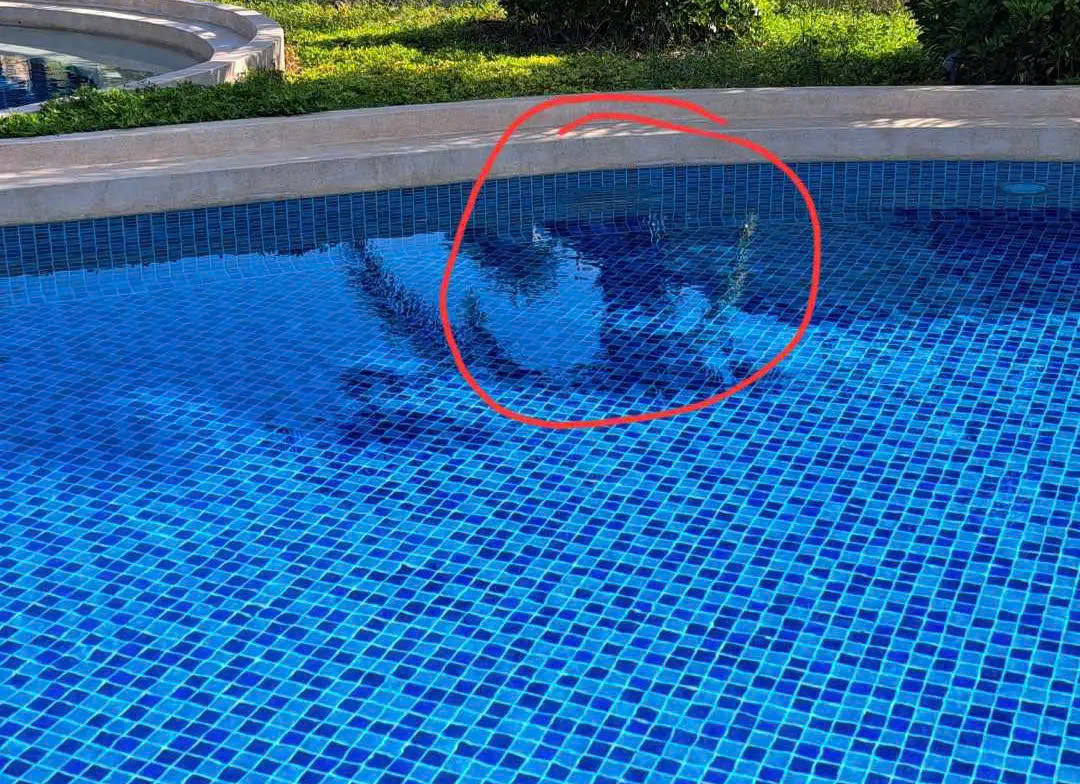 Vụ án bé trai Nhật Bản đuối nước tại Phan Thiết: Cơ quan điều tra thay đổi khởi tố - Ảnh 2.