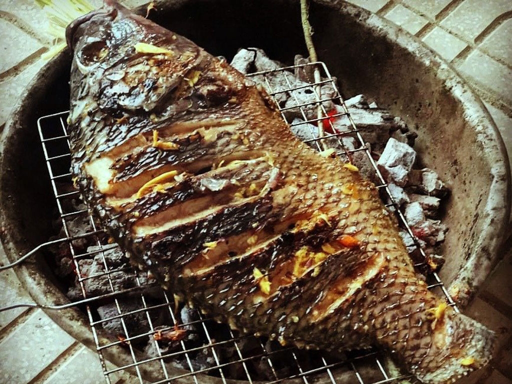 - Ảnh 1.