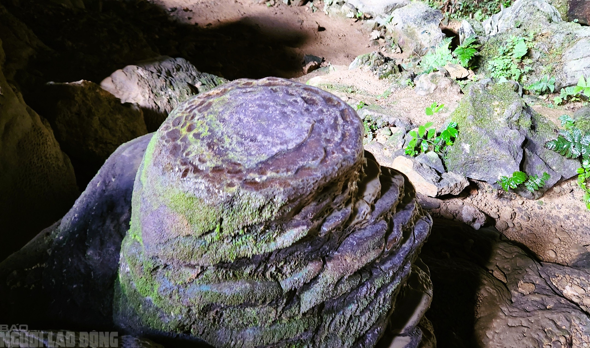 C&oacute; một "Sơn Đo&ograve;ng" đẹp nao l&ograve;ng giữa đại ng&agrave;n P&ugrave; Lu&ocirc;ng - Ảnh 9.