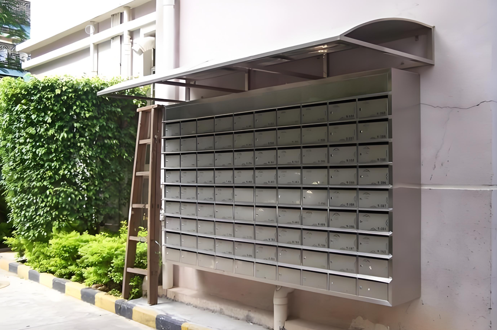 Nữ sinh đạt điểm cao nhưng không được nhận vào đại học - Ảnh 2.