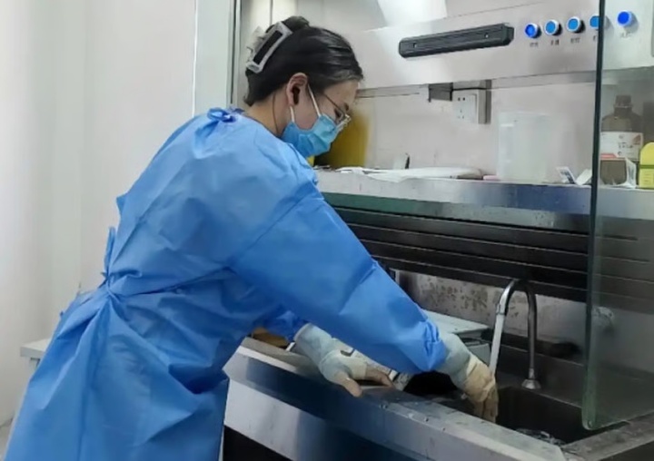 Nữ bác sỹ pháp y nổi tiếng với thân hình vạm vỡ, xử lý 600 thi thể trong 3 năm - Ảnh 4.