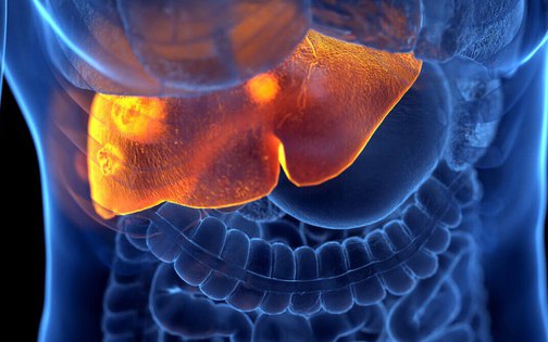 Chấn động: Nhiều sản phẩm nhựa giá rẻ chứa chì vượt chuẩn 30 lần, nhiều người cầm trên tay mỗi ngày mà không biết! - Ảnh 4.