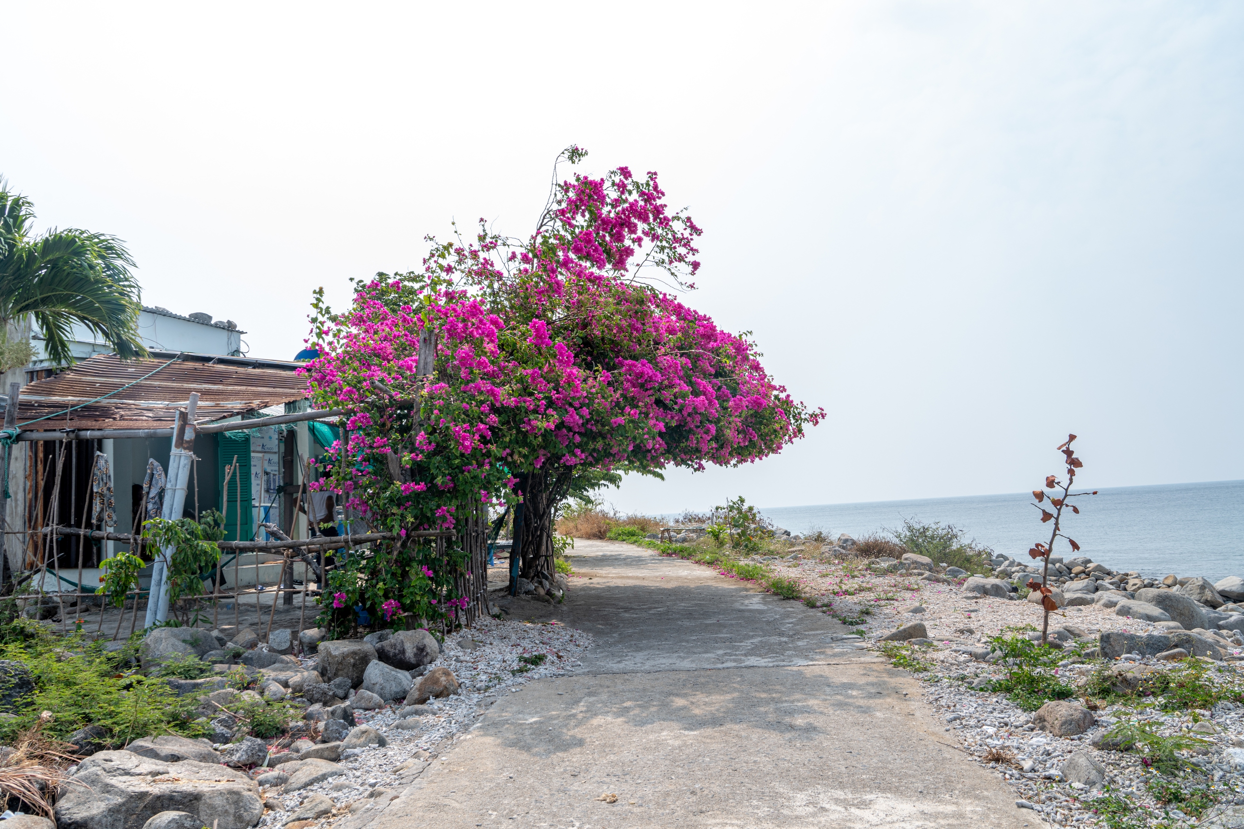 Hòn đảo không khách sạn, không resort, cách đất liền 20km, nhiều người bản địa cũng không biết tới - Ảnh 7.