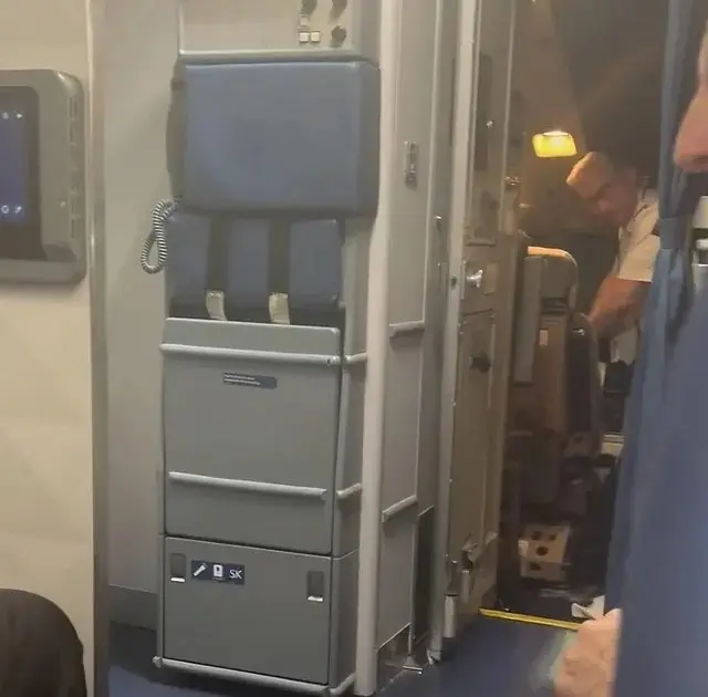 Phi công bị bắt giữ ngay sau khi hạ cánh tại California - Ảnh 2.