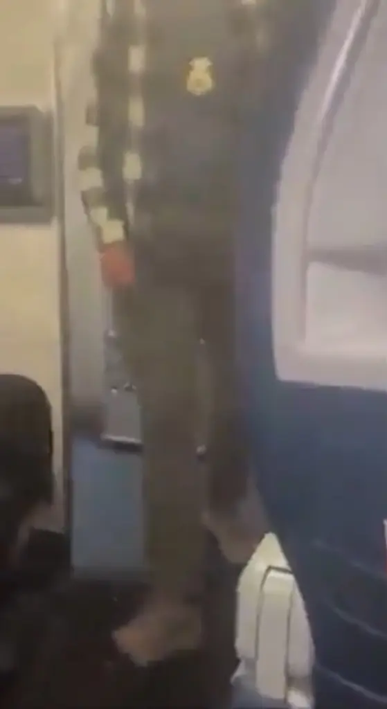 Phi công bị bắt giữ ngay sau khi hạ cánh tại California - Ảnh 1.