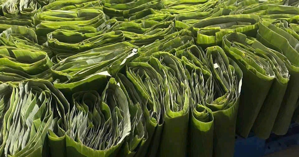 Một doanh nghiệp biến chất thải thành "vàng", mở ra cơ hội lớn cho Việt Nam - Ảnh 1.