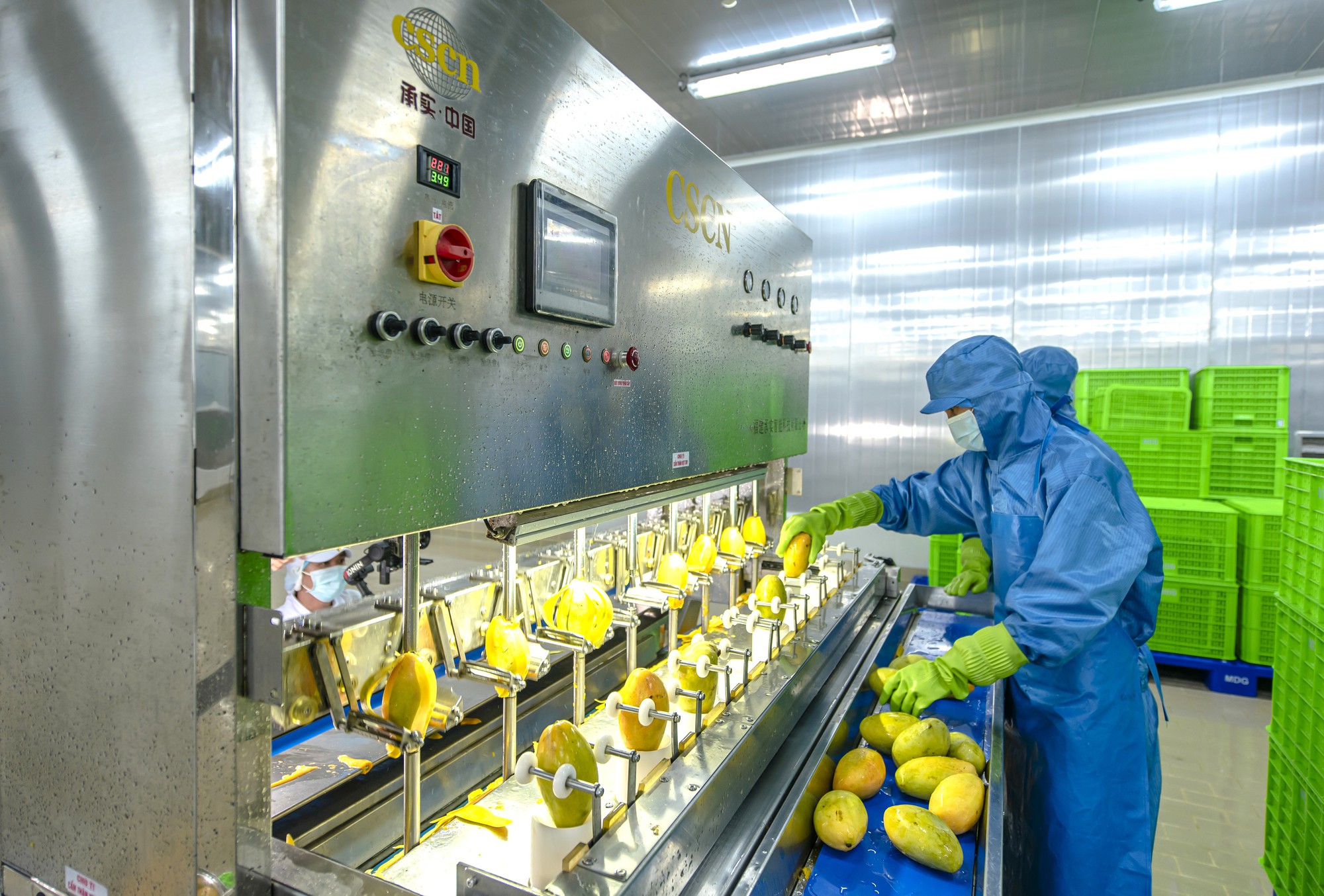 AIG ti&ecirc;n phong xu hướng chế biến s&acirc;u v&agrave; chuỗi li&ecirc;n kết bền vững cho n&ocirc;ng sản Việt - Ảnh 3.