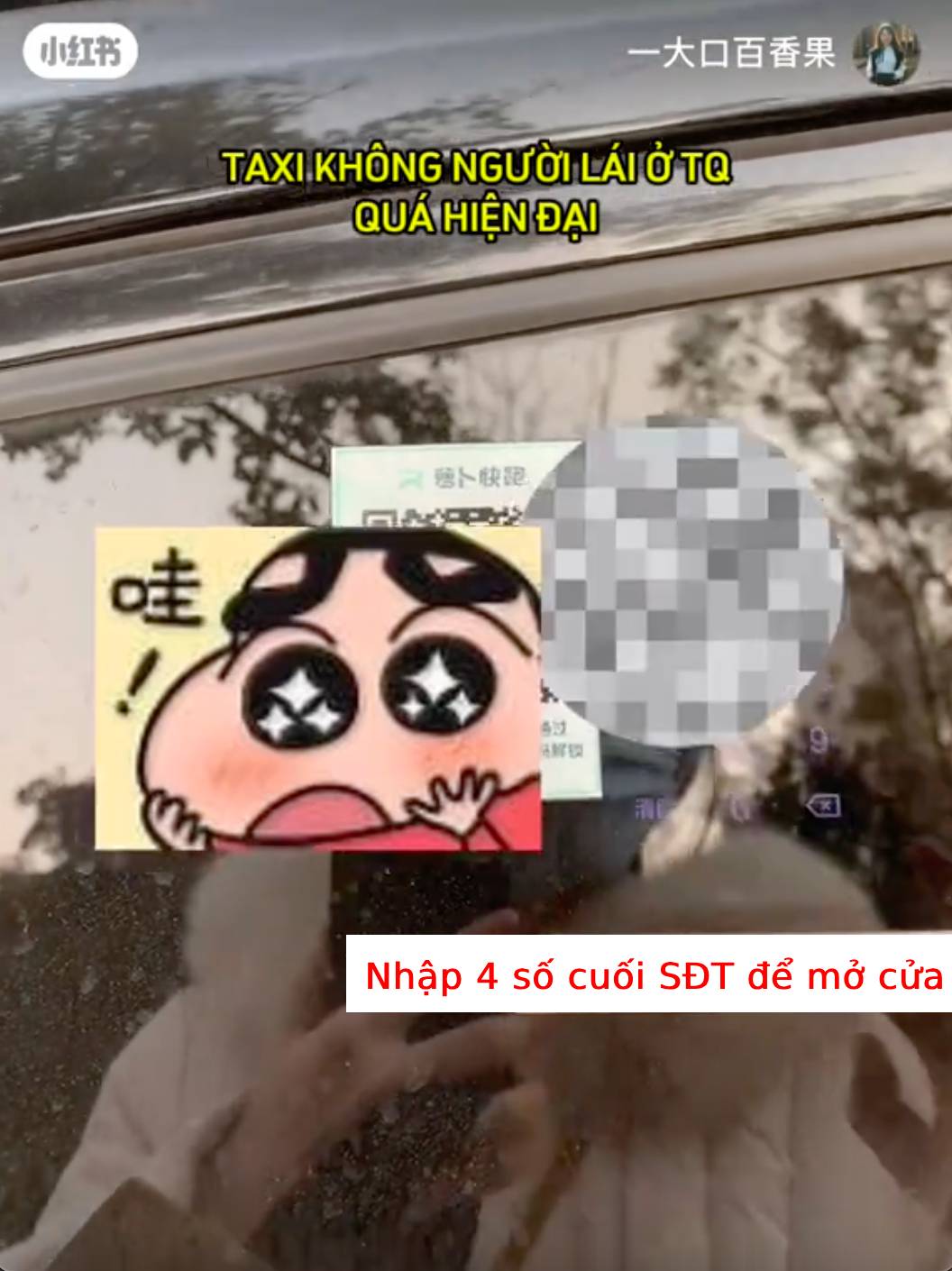- Ảnh 1.