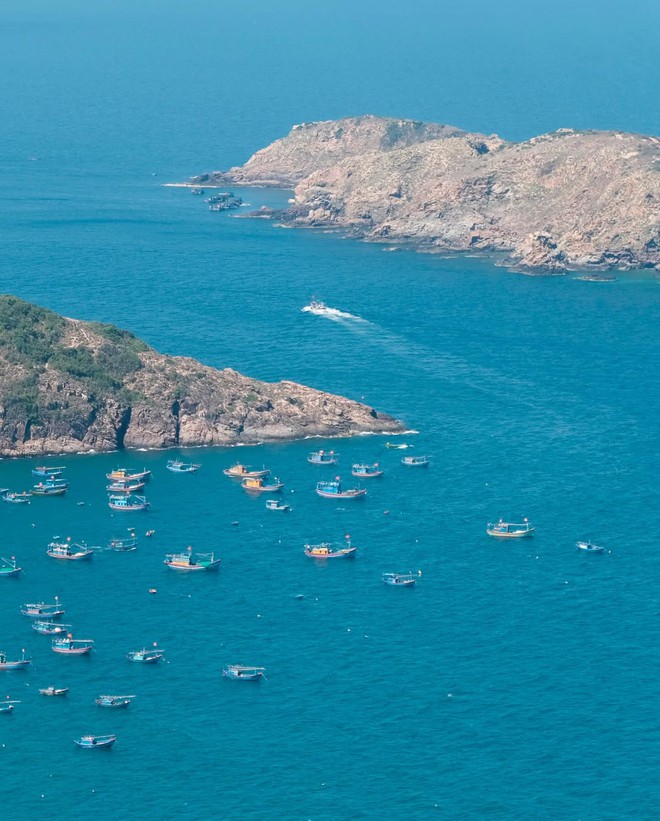 2 tỉnh vừa s&aacute;p nhập c&oacute; voi lẫn c&aacute; voi khiến du kh&aacute;ch muốn đăng k&yacute; tour ngay lập tức- Ảnh 4.