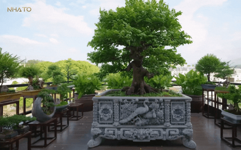 Cận cảnh biệt phủ 1200m2 đậm chất Á Đông của gia chủ chất chơi yêu trà đạo - Ảnh 11. Cận cảnh biệt phủ 1200m2 đậm chất Á Đông của gia chủ chất chơi yêu trà đạo - Ảnh 11.