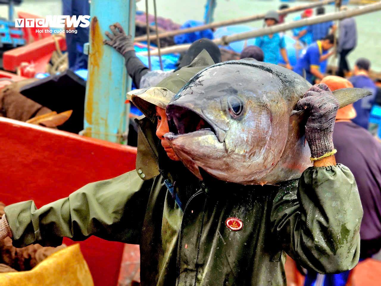 Ngư dân Đắk Lắk hào hứng câu cá ngừ đại dương 60kg tại cảng Đông Tác - Ảnh 3.