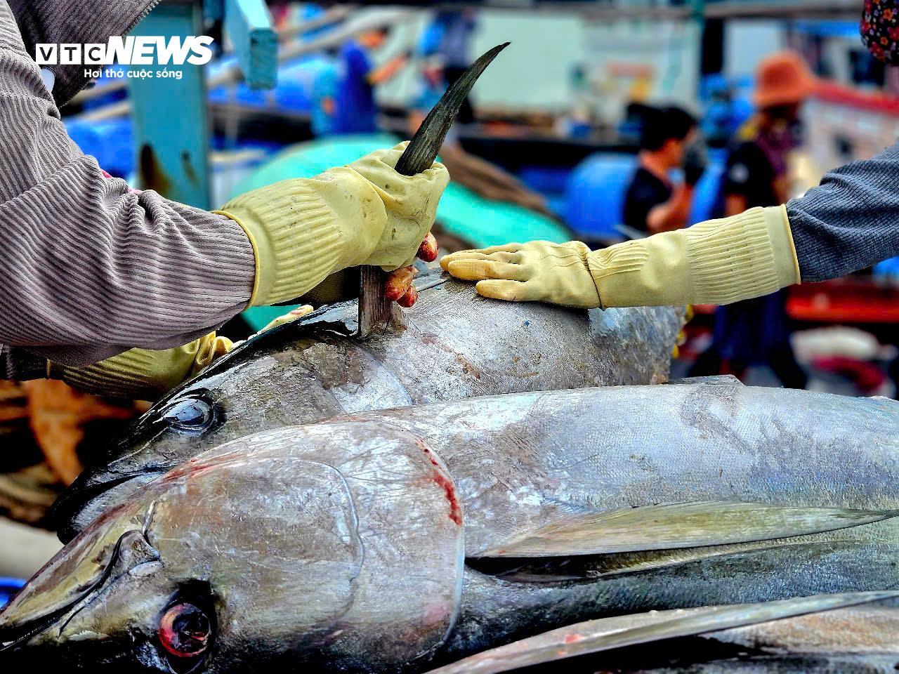 Ngư dân Đắk Lắk hào hứng câu cá ngừ đại dương 60kg tại cảng Đông Tác - Ảnh 15.
