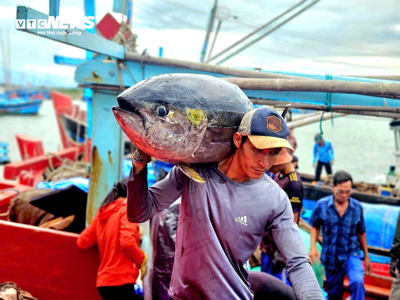 Ngư dân Đắk Lắk hào hứng câu cá ngừ đại dương 60kg tại cảng Đông Tác - Ảnh 14.