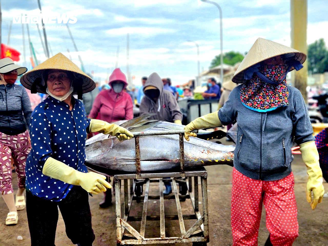 Ngư dân Đắk Lắk hào hứng câu cá ngừ đại dương 60kg tại cảng Đông Tác - Ảnh 9.