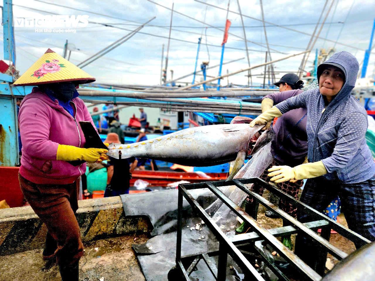 Ngư dân Đắk Lắk hào hứng câu cá ngừ đại dương 60kg tại cảng Đông Tác - Ảnh 8.
