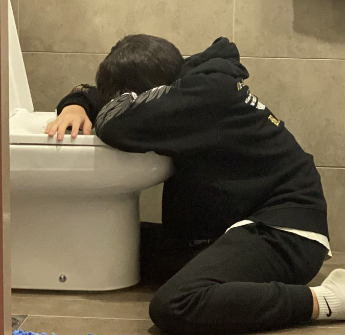 - Ảnh 1.
