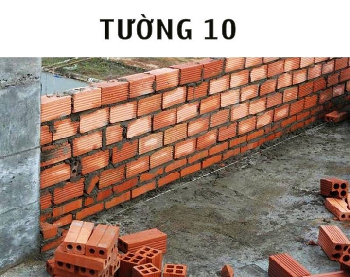 - Ảnh 1.