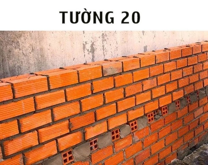 - Ảnh 2.