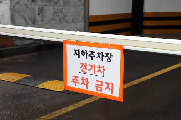 - Ảnh 3. - Ảnh 3.
