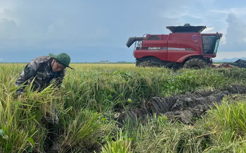 Đại sứ Cuba: Sự ủng hộ của nhân dân Việt Nam vượt xa khỏi những con số - Ảnh 2.