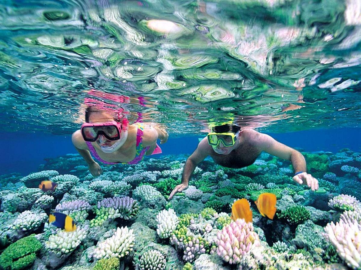 Hòn đảo hoang sơ địa hình đặc biệt, sở hữu nhiều cái "độc nhất", du khách nhận xét: Hiếm đâu có được! - Ảnh 7.