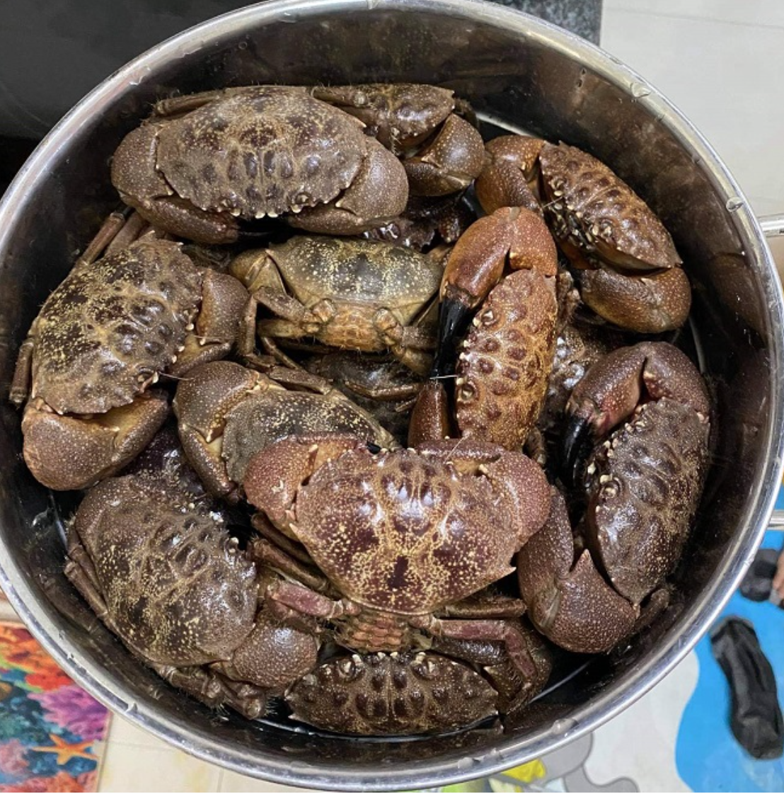 - Ảnh 1.