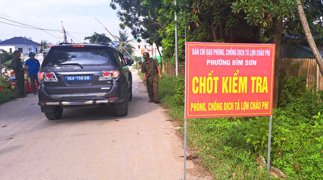 Tiêu hủy gần 7 . 000 Con heo mắc dịch tả heo châu Phi tại thanh hóa - Ảnh 2.