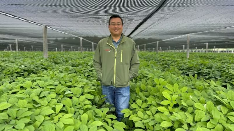 Trung Quốc quay lưng với mặt hàng được coi là thần dược, nông dân Mỹ điêu đứng chịu ép giá, lãi mỏng, phải rút tiết kiệm, đi vay duy trì qua ngày, đối mặt tương lai ảm đạm - Ảnh 3.