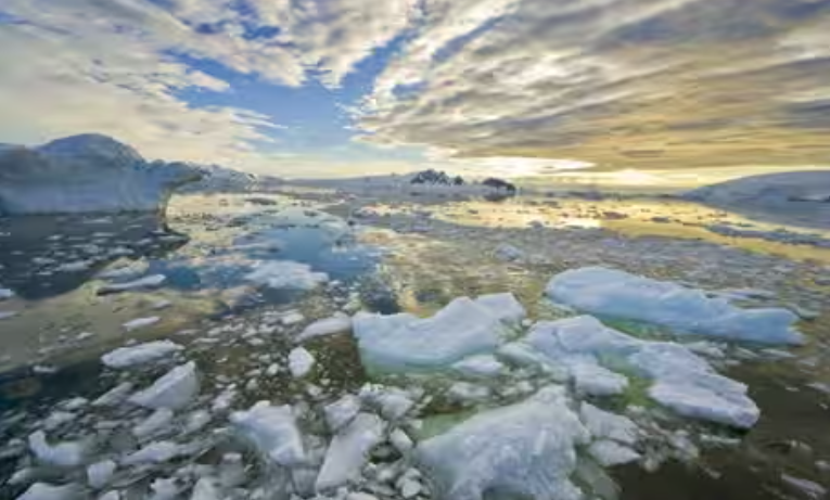 Băng Nam Cực tan nhanh kỷ lục do nước biển mặn hơn- Ảnh 1.