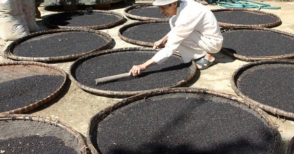 Hàng chục nghìn tấn &quot;vàng đen&quot; của Việt Nam ồ ạt tràn vào Mỹ, Đức, là mặt hàng VN xuất đi hơn 125 nước