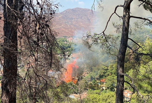 Thành phố hàng triệu người đang bị lửa đe dọa - Ảnh 6.