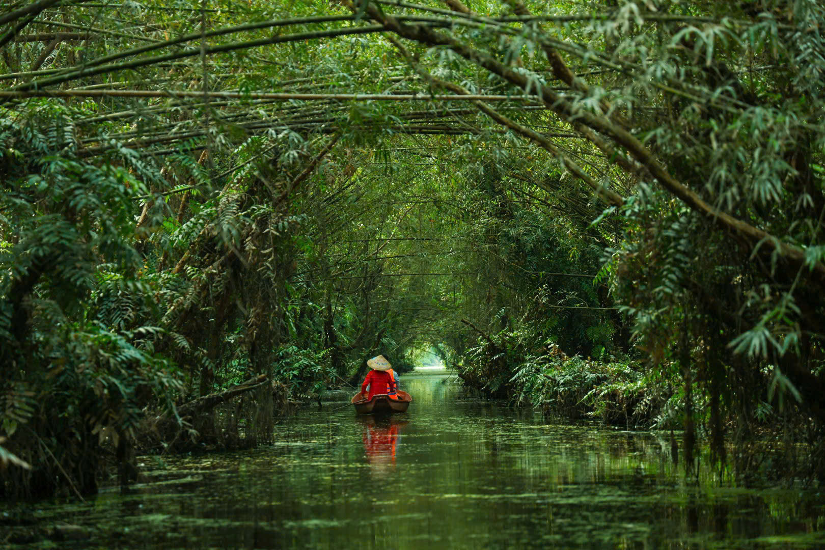 Một ngày xanh mát ở Đồng Tháp Mười- Ảnh 14. Một ngày xanh mát ở Đồng Tháp Mười- Ảnh 14.