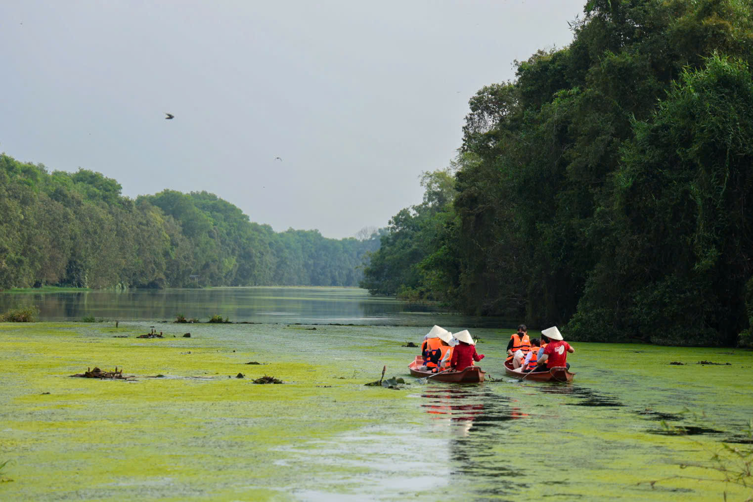 Một ngày xanh mát ở Đồng Tháp Mười- Ảnh 7. Một ngày xanh mát ở Đồng Tháp Mười- Ảnh 7.
